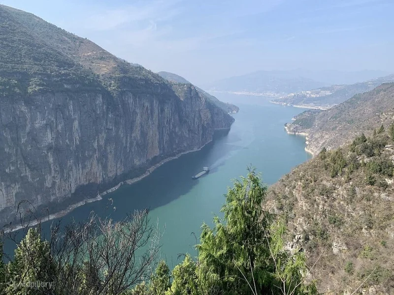 Chongqing: China's Industrial Base Aiming for Drug Breakthroughs